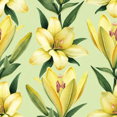 Sarı lily çiçek deseni