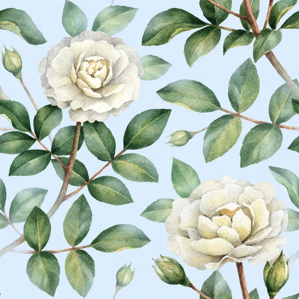 Pattern with rose flowers — Stock Photo, Image