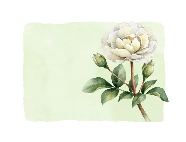 Karta z kwiatów róży — Zdjęcie stockowe