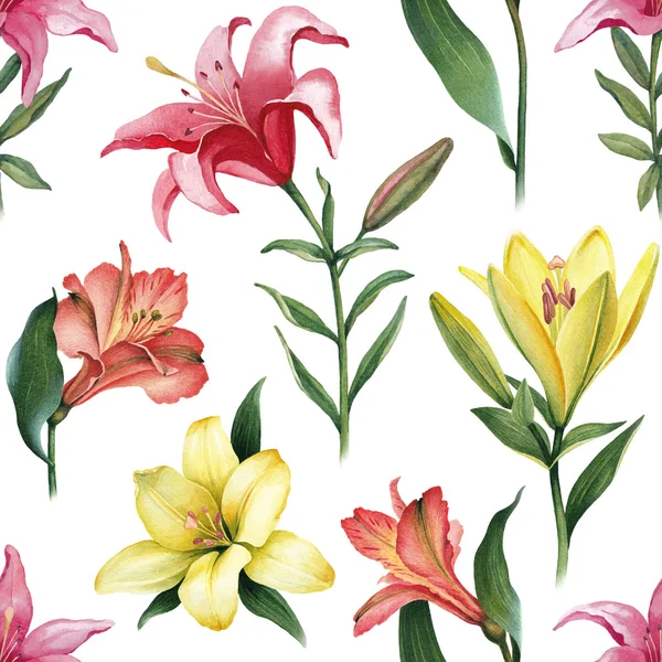 Lilia kolorowe kwiaty wzór — Zdjęcie stockowe