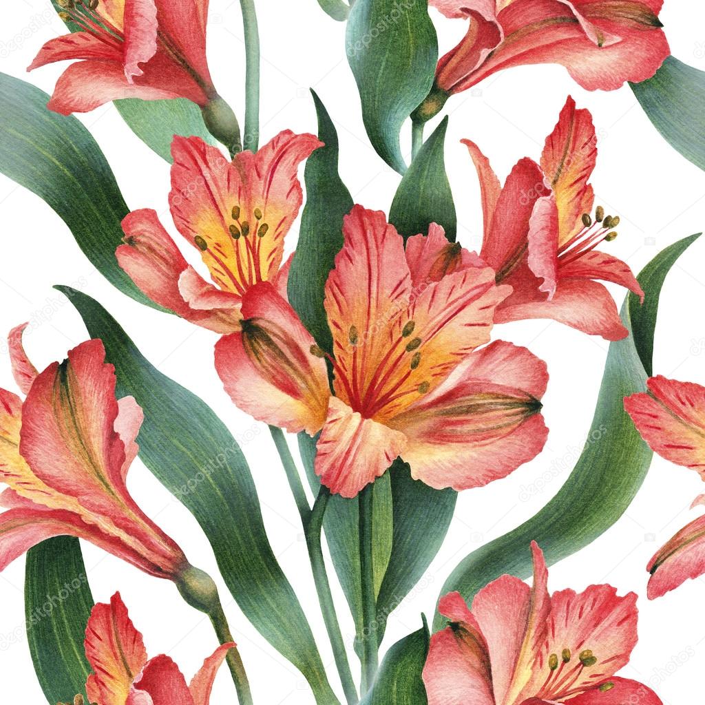 红百合花朵图案 图库照片 C Sashsmir