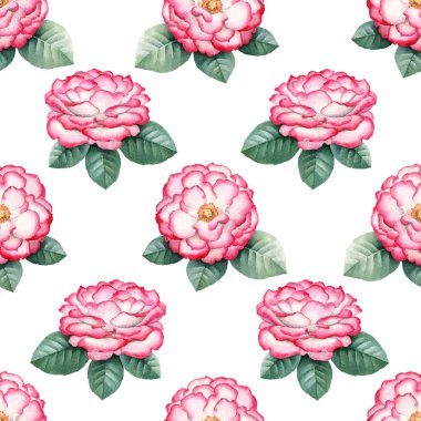 Suluboya yabani gül çiçek Çizim. 