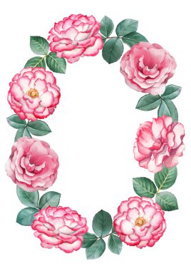 Arka plan ile suluboya gül çiçek. 