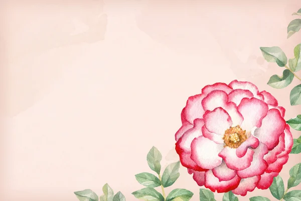 Achtergrond met een aquarel roze bloem. — Stockfoto