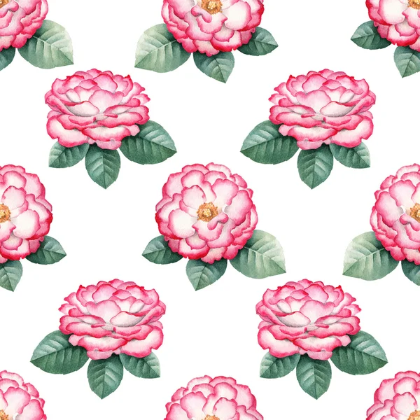 Aquarela selvagem rosa flores ilustração . — Fotografia de Stock