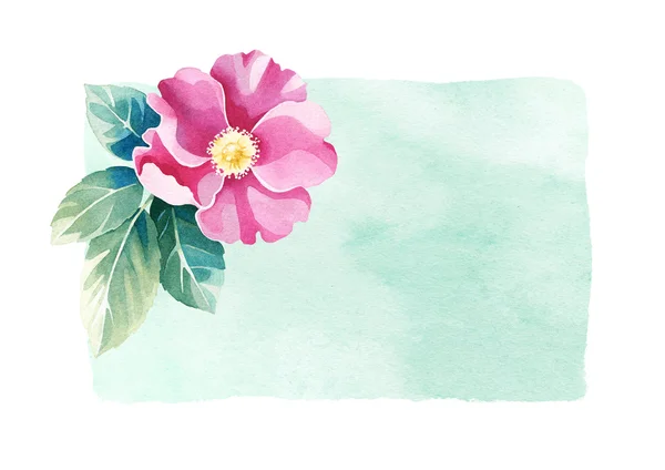 Background with a watercolor wild rose flower. — Stock Photo, Image
