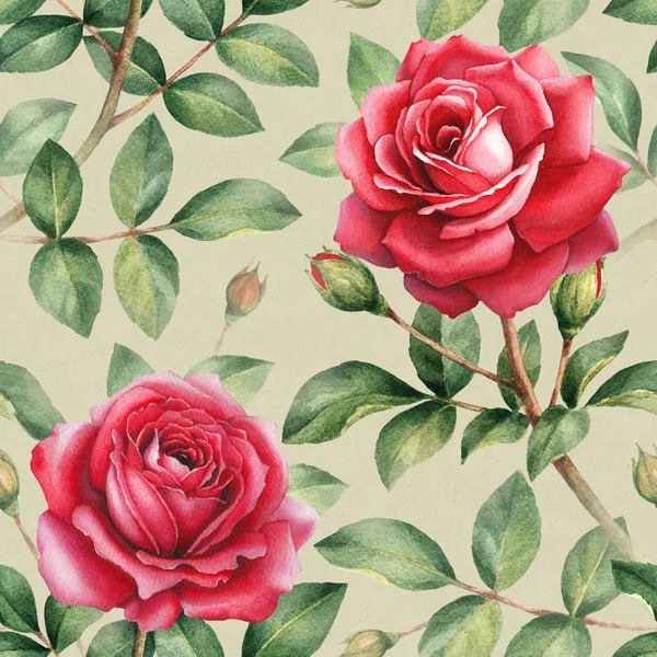 Aquarelle rose fleurs illustration . — Photo