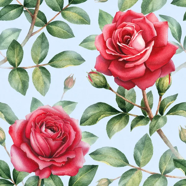 Aquarela rosa flores ilustração — Fotografia de Stock