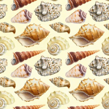 desen kabukları suluboya resimler