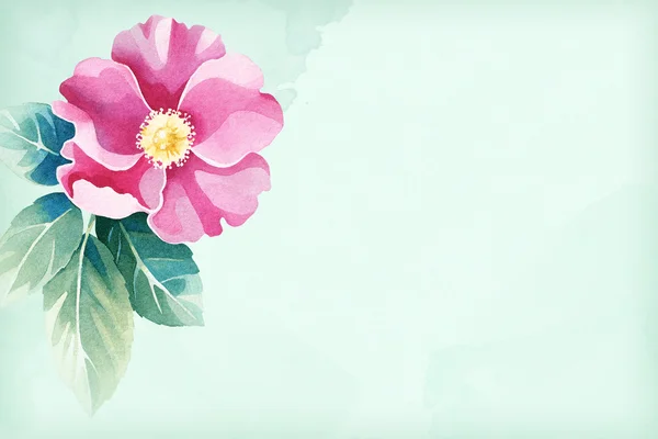 Achtergrond met aquarel wild rose bloem. — Stockfoto