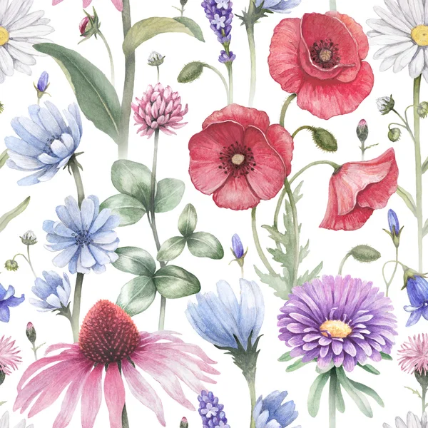 Summer flowers illustrations. — Stock Photo, Image