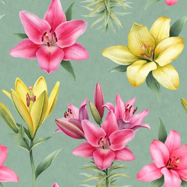 Lily çiçek suluboya çizimler