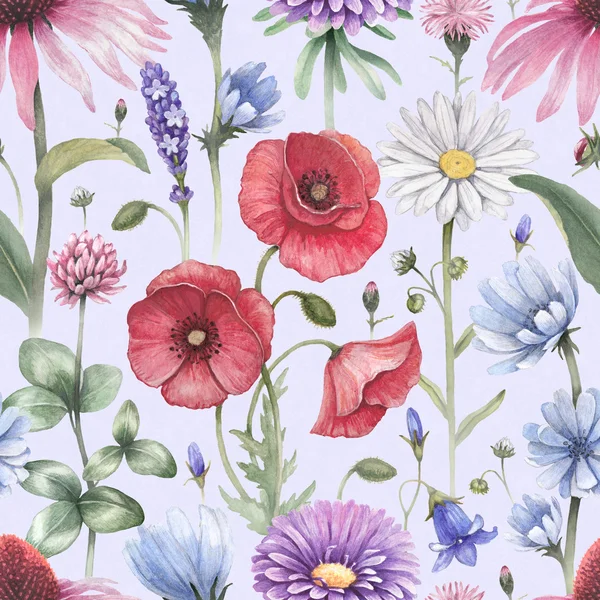 Sommer Blumen Illustrationen. — Stockfoto