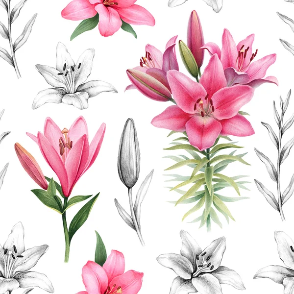 Ilustraciones de flores de lirio . —  Fotos de Stock