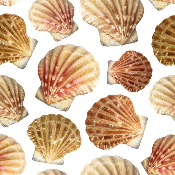 Muster mit Aquarell-Abbildungen von Muscheln — Stockfoto