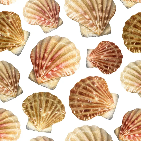 Padrão com ilustrações aquarela de conchas — Fotografia de Stock