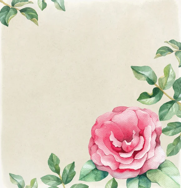 Akwarela kwiat róży karty — Zdjęcie stockowe