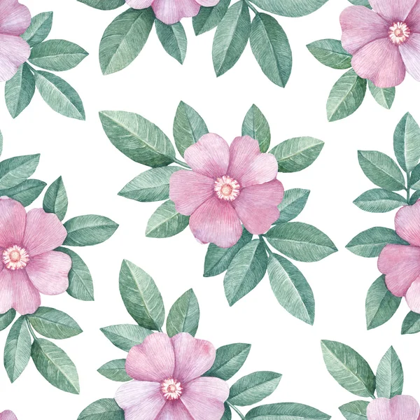 Watercolor wild rose flowers  pattern — Stock Photo, Image