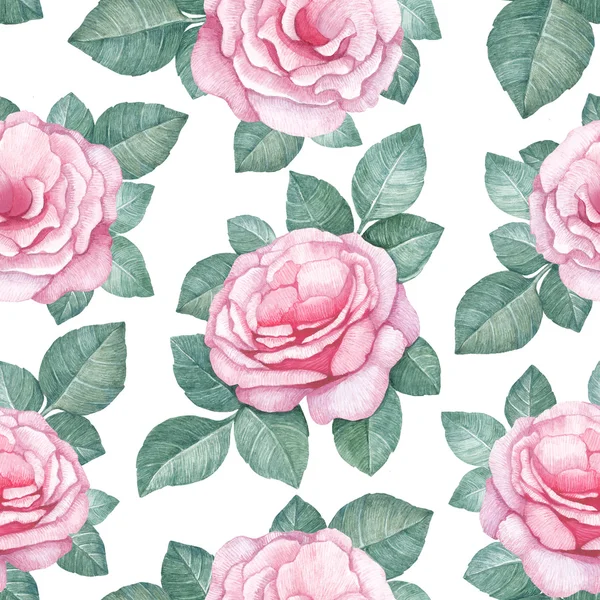 Watercolor wild rose flowers  pattern — Stock Photo, Image