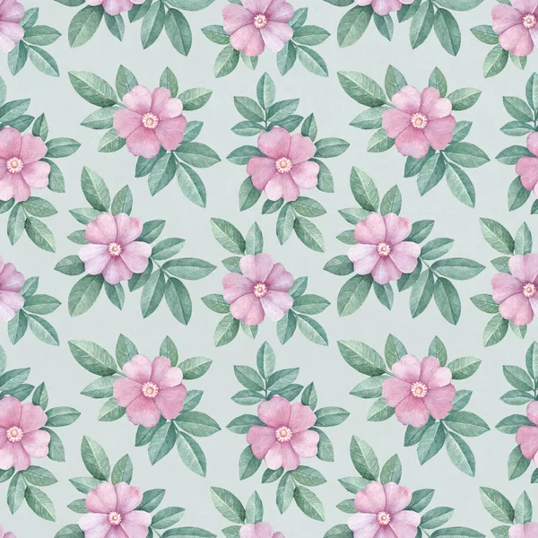 Aquarell Wildrose Blumen Muster — Stockfoto