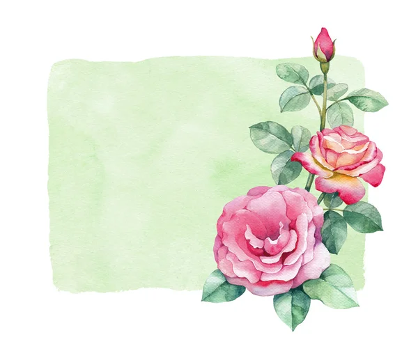 Aquarell-Illustration von Rosenblüten — Stockfoto