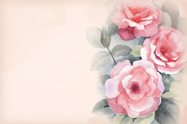 Acquerello fiore di rosa selvatica . — Foto Stock