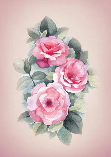 Aquarel illustraties van wilde roze bloemen — Stockfoto