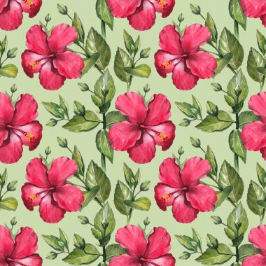 Suluboya hibiscus çiçek şekil.