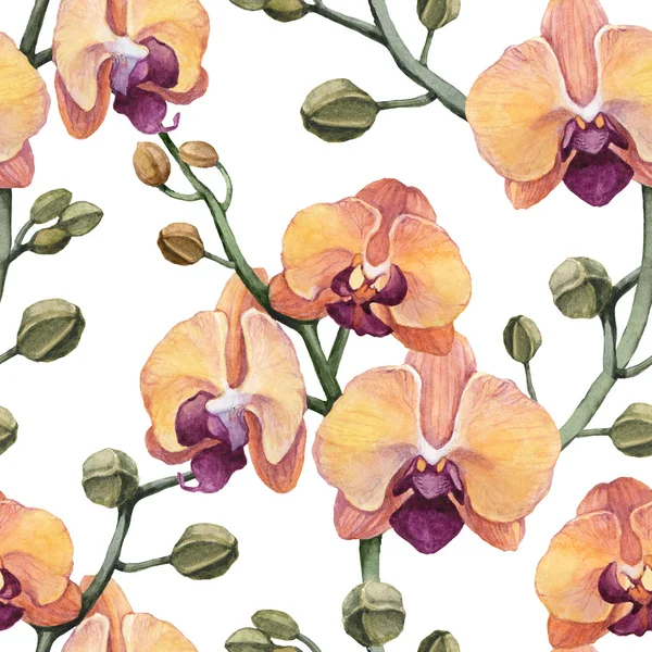Padrão sem costura com flores de orquídea — Fotografia de Stock