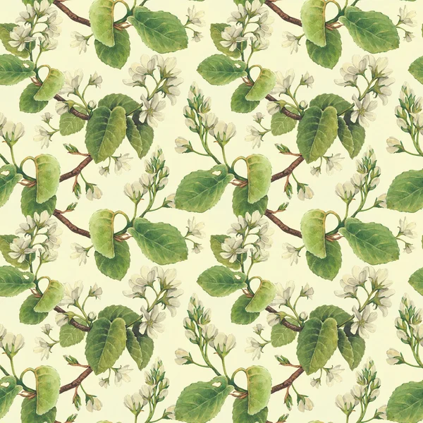 Pattern with  apple flowers — Stock Photo, Image