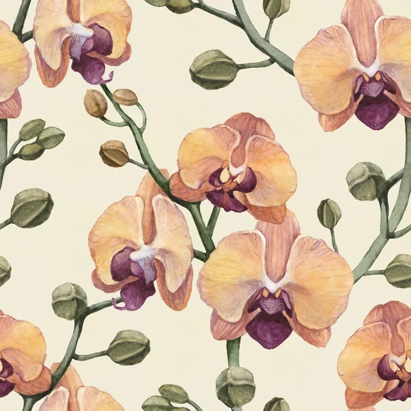 Patrón inconsútil vintage con flores de orquídea de acuarela —  Fotos de Stock