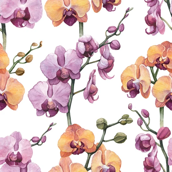 Seamless pattern with orchid flowers — Stock Photo, Image