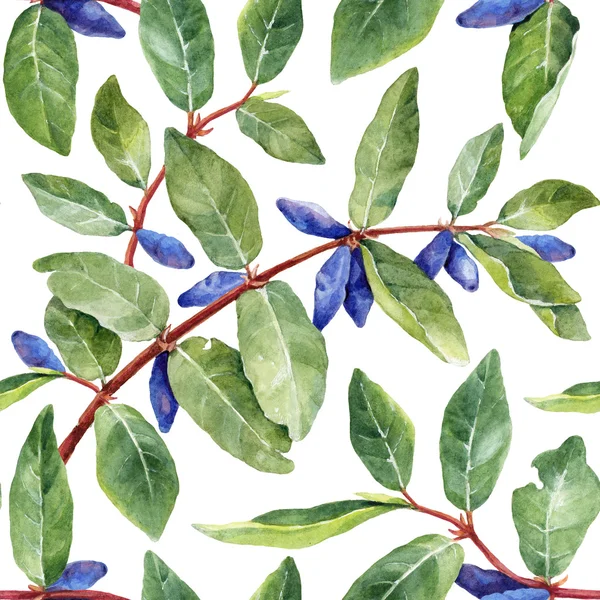 Watercolor honeysuckle berries pattern — Stock Photo, Image