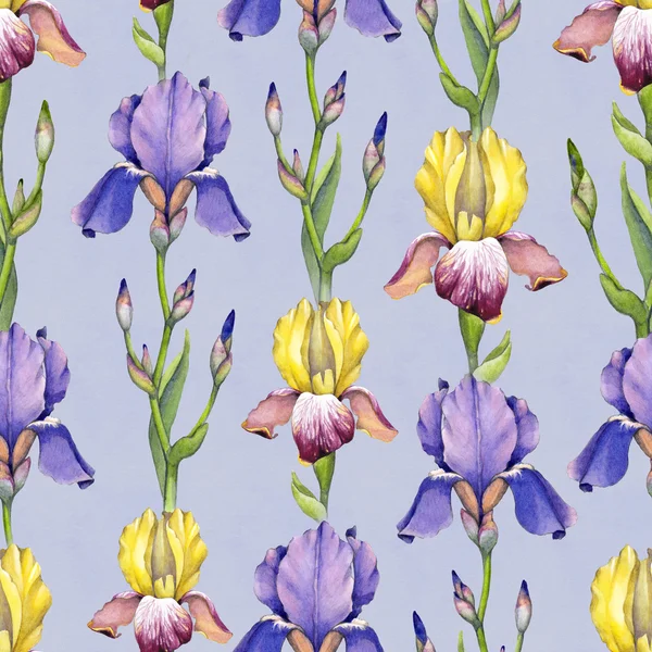 Watercolor iris flowers pattern — Stock Photo, Image