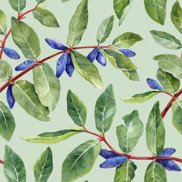 Watercolor honeysuckle berries pattern — Stock Photo, Image