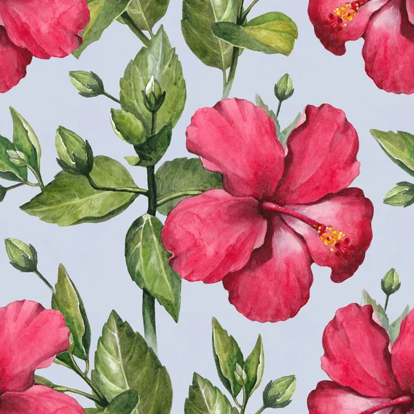 Acuarela hibisco patrón de flores —  Fotos de Stock
