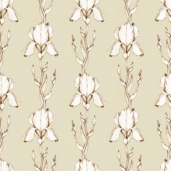 Iris flowers seamless pattern — Stock Photo, Image