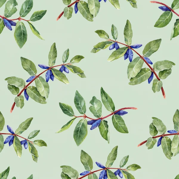 Watercolor honeysuckle berries pattern — Stock Photo, Image