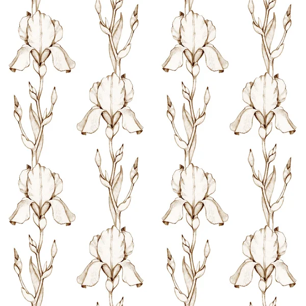 Tęczówki kwiaty bezszwowy wzór — Zdjęcie stockowe