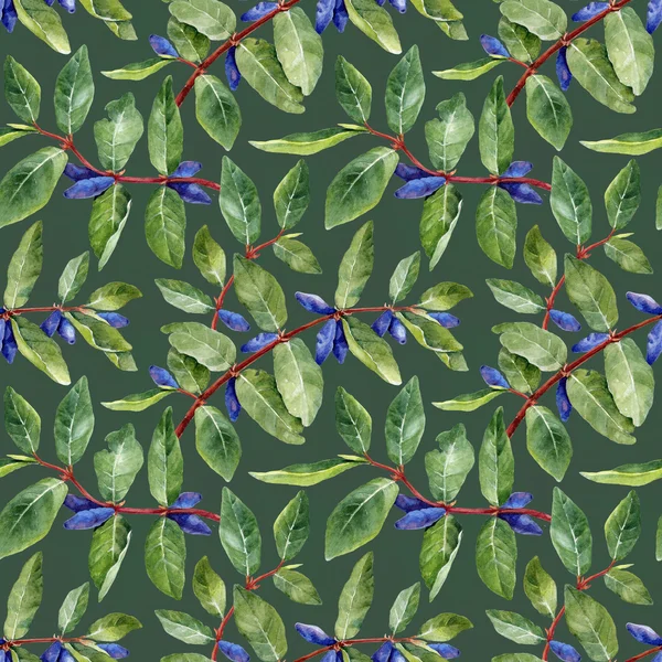 Watercolor honeysuckle berries pattern — Stock Photo, Image