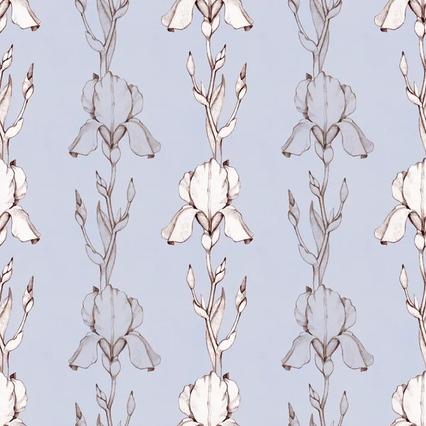 Iris flowers seamless pattern — Stock Photo, Image