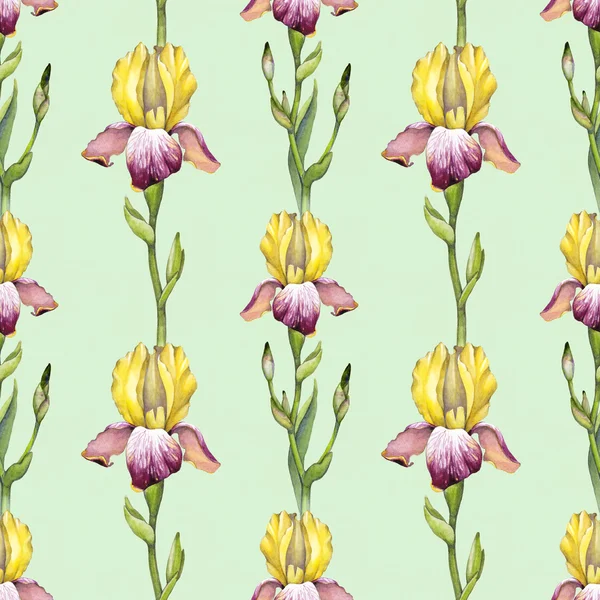 Watercolor iris flowers pattern — Stock Photo, Image