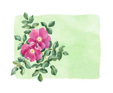 Suluboya köpek gül