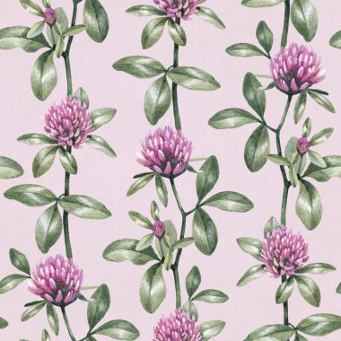 Suluboya yonca çiçek