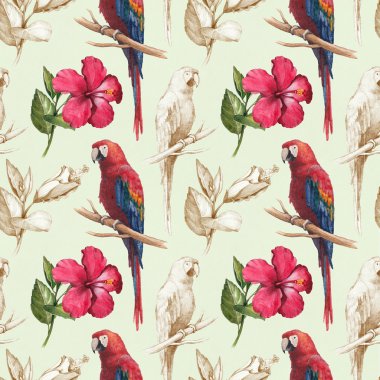 Macaws ve hibiscus çiçek çizimleri.