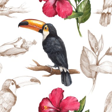 Toucan ve hibiscus çiçek çizimleri
