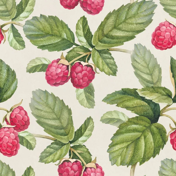 Seamless pattern with  raspberry — Stock Photo, Image