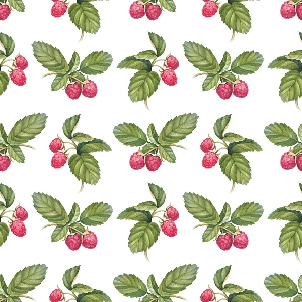 Seamless pattern with watercolor raspberry — Stock Photo, Image