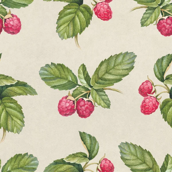 Seamless pattern with  raspberry — Stock Photo, Image