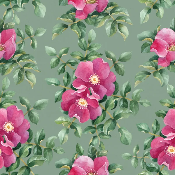 Watercolor pattern with dog roses — Stock Photo, Image